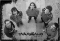 /album/photogallery/tarangallo-foto3-jpg/